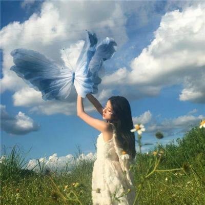 母牛总动员